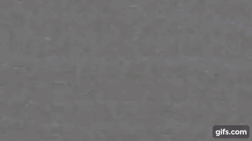 gif (1)