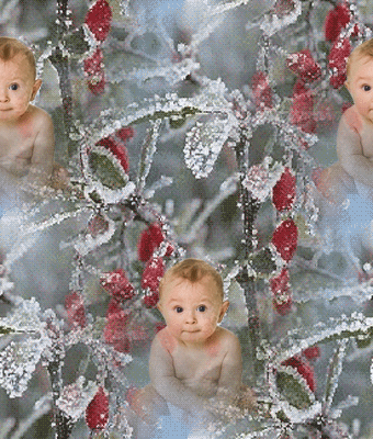 119 Отражение