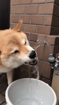 Максимум удовольствия