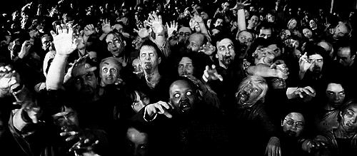 tmp_zomd2c09c7862b74568a4cc7cb48565d975