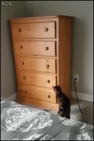 52c75a91db4207b7b1eccdd63c6b593e