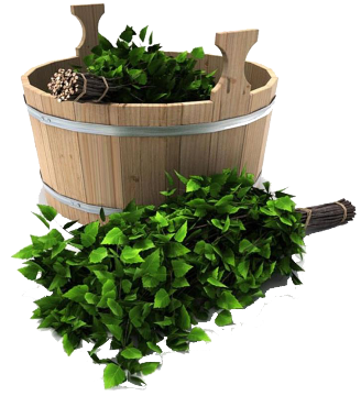 2 веник бадья