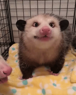 С аппетитом