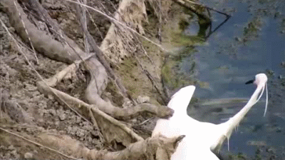 7ит5