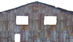 image1111