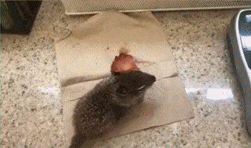 Знает где уют