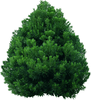 0_12d4f9_7fbff6b_orig