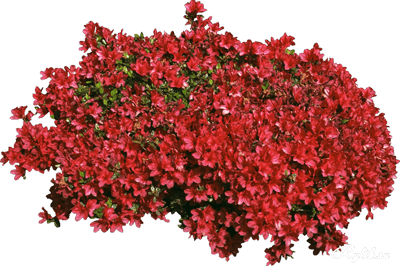 0_12d4fe_c47a4ea9_orig