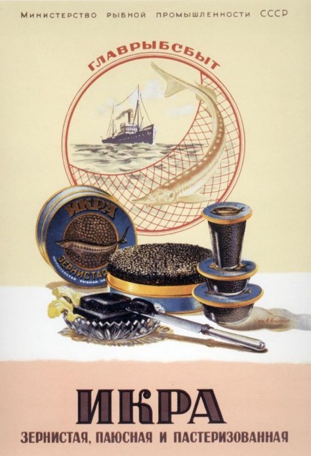 {185f51a3-36a8-4d61-8b4e-18dc254afb14}