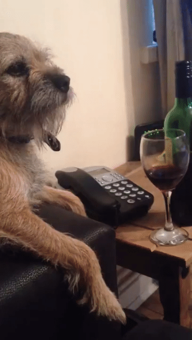 Стоп алкоголь