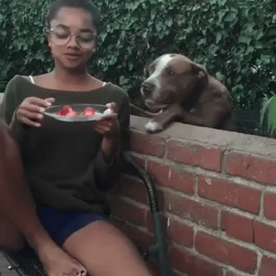 b18d1aab581f28a817368176d0a24bcb