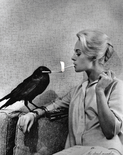 af2b1634d25c328754b362834cd2f476