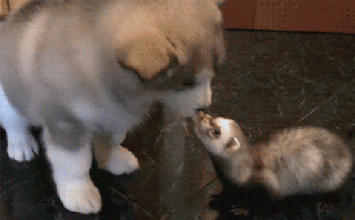 07c7fa5b570ae5644add3275cfe