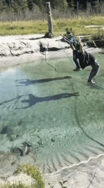 -переправа-4079038