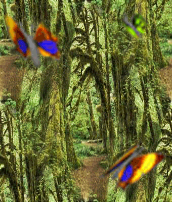 261 Потеряли