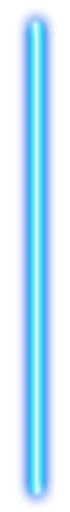 3006