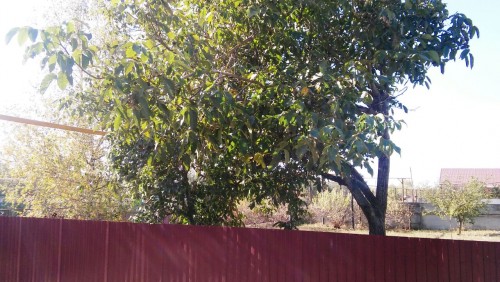 WhatsApp Image 2017-10-07 at 10.02.55