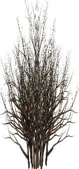 6300695