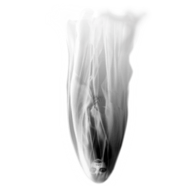 5727968c48b5015472a4140a_yapfiles.ru-min