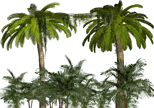 ba61ff9dddc2205a5b740c98a7ffa0b3