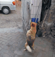 1DCBE3A1-13CA-414C-B7EF-7BA065348E2A