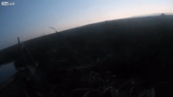 https__vk_com_gif_fa