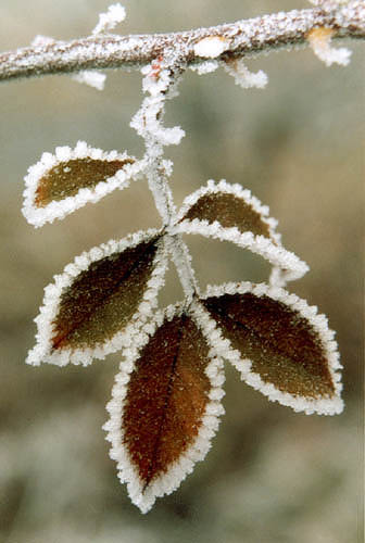 0908c9d7c3f7e9ec92c4aae19d9f2384