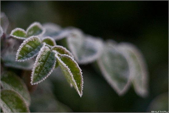 51378593_1258640717_2993