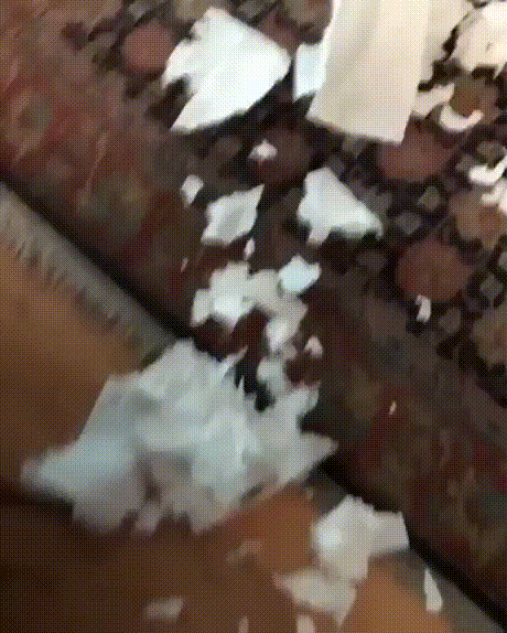 Vine_Video (1)