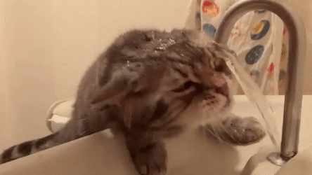 Понедельник