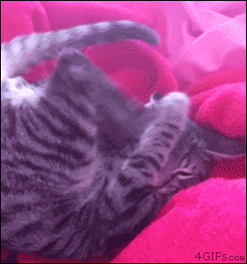 Злость на себя