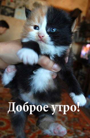 image (1)