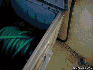 0a5f5a6e17b6ddbf6f9295b6609a79a6