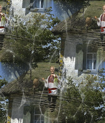 393  В паутине.