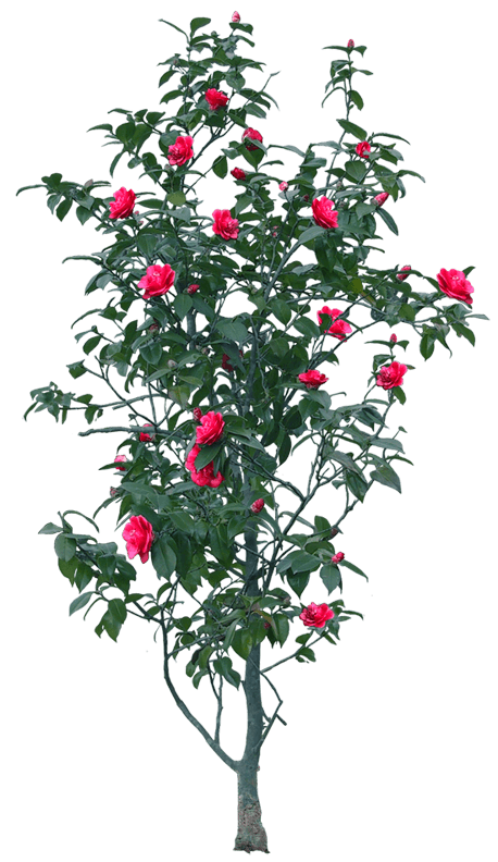 0_12d3ee_27c1f2f4_orig_yapfiles.ru (1)