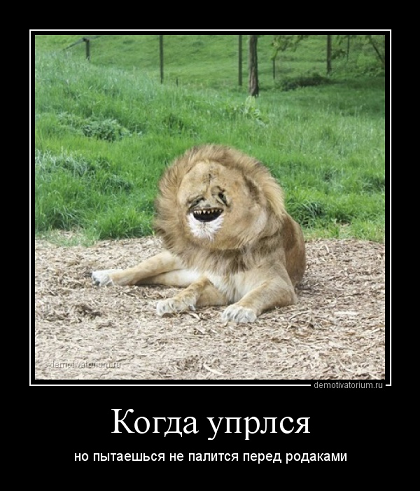 dm_temp_image_33011171102036297439