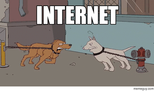 Internet_VS_Realnost