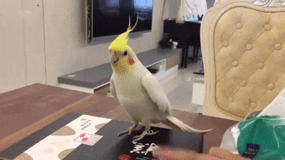 Чечёточник