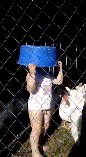 -мальчик-курица-NSFW-4186818