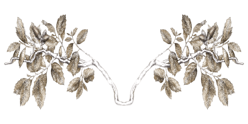 01694df7-ce01-cfaa-ee7c-c43f5596f65a-22