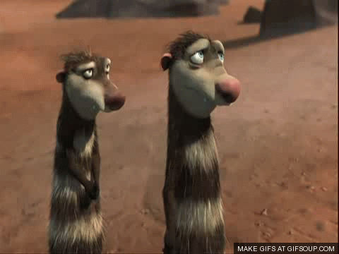 ice-age-2-possums-o