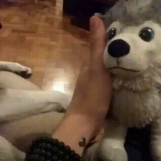 собакен