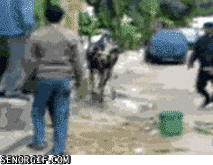 Крепкий парень