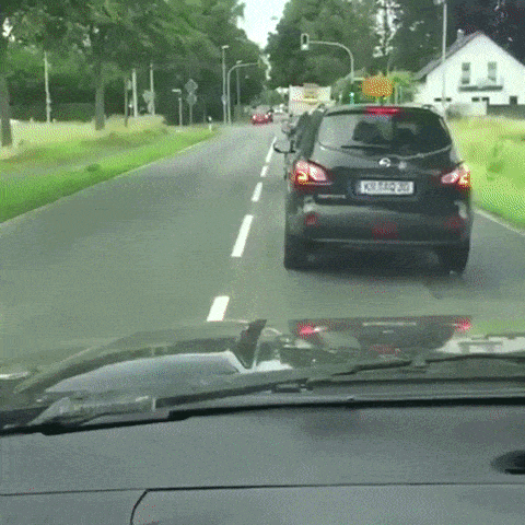 Пропускайте пешеходов!