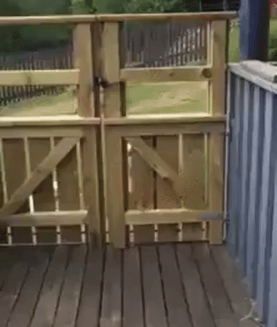 Понаделали калиток