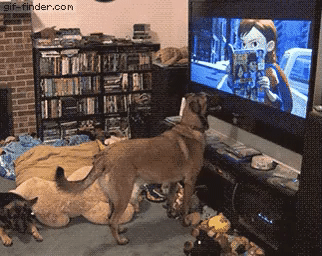 Переживает