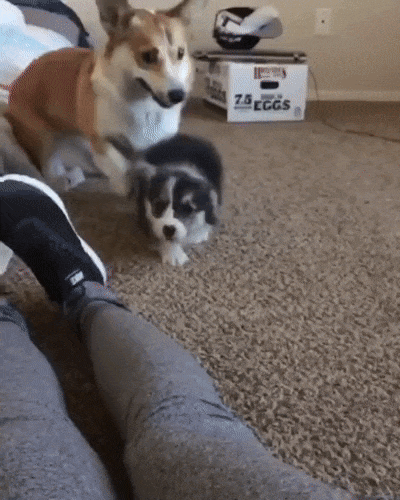 Мать есть мать