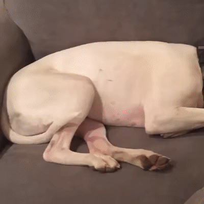 Царство Морфея