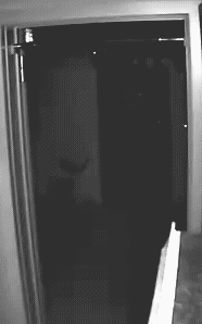 Крипота