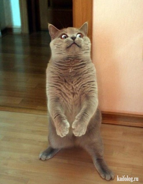 йй